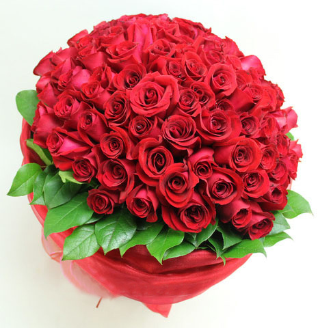 99朵红玫瑰\/喜欢你 - 恋人 - 花瓣雨 达州鲜花花